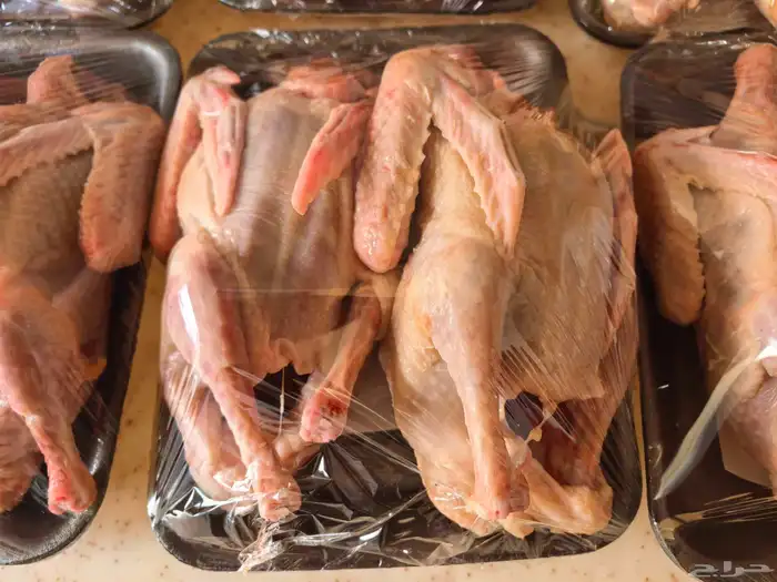 زغاليل حمام لاحم فرنسي 2