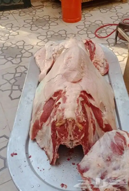 طباخ متنقل 1