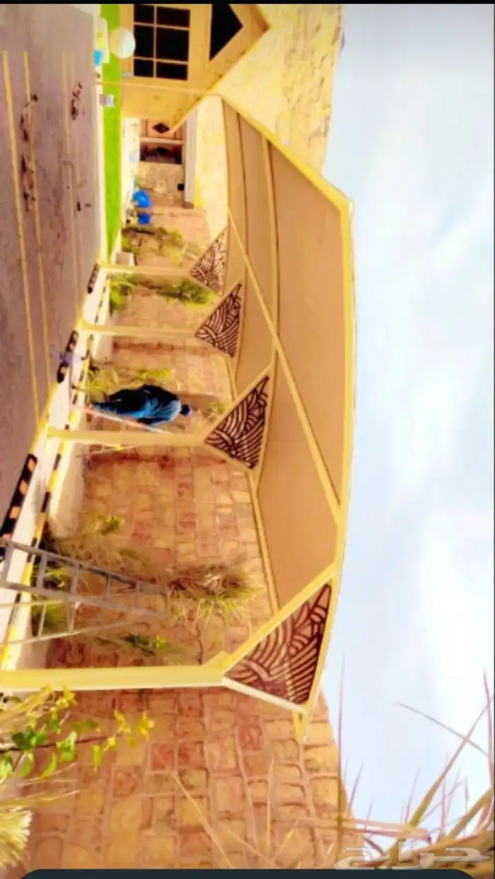 مضلات وسوتر مملكه 7