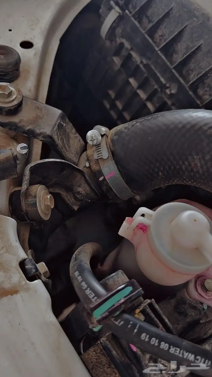 اسيزو جي تي فل كامل 14