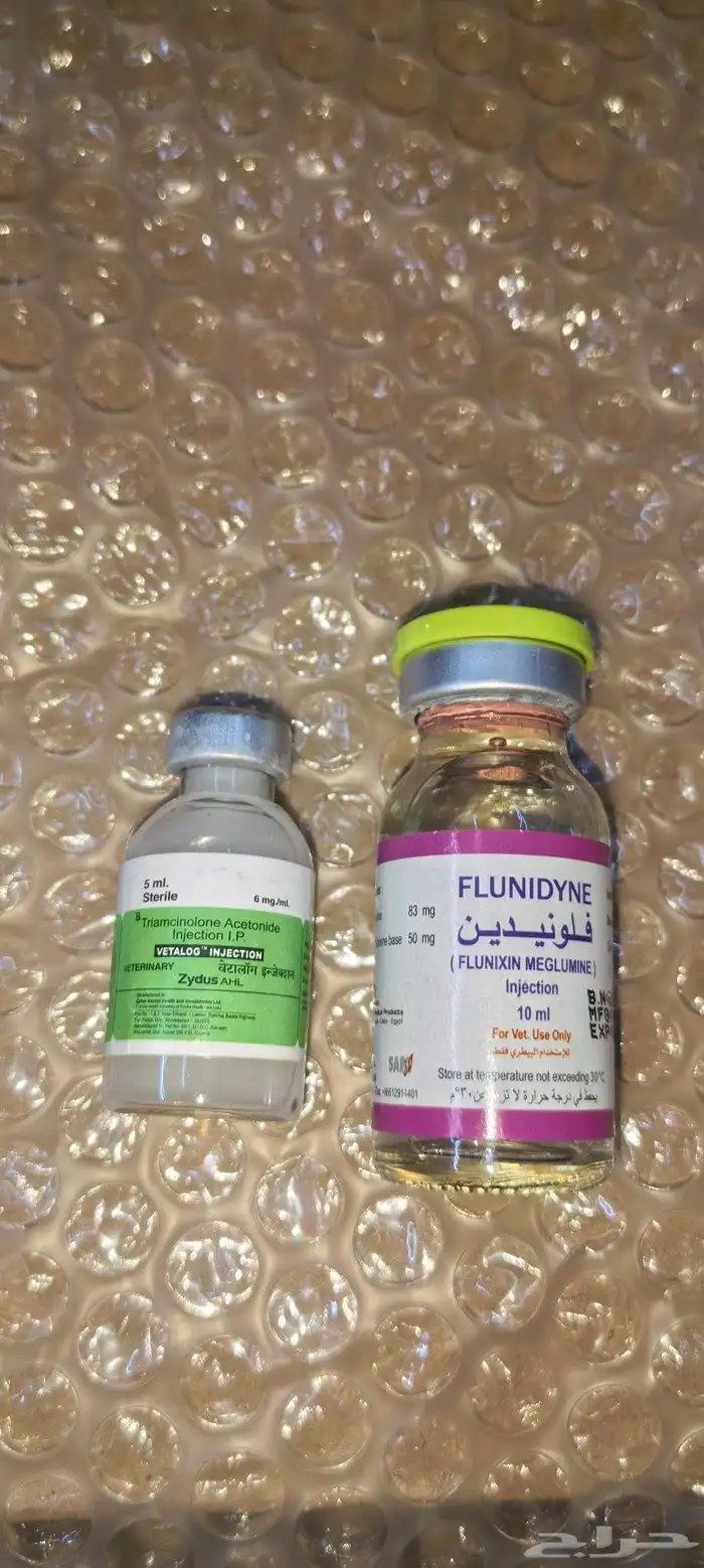 علاجات هجن ناجحه مع التركيب 12