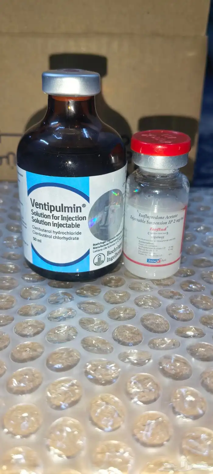 علاجات هجن ناجحه مع التركيب 8