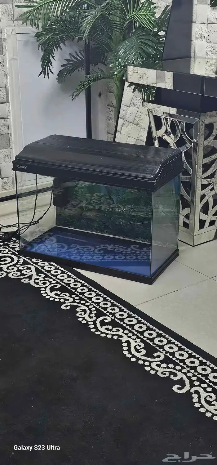 حوض سمك للبيع 0