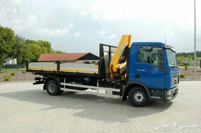 للايجار. ونش سطحه كرين رافعات دينا ونش باسكت سله 1