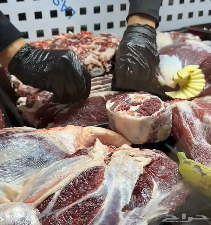 معلم جزار تشفيه مصنعات عرض تلاجات 2