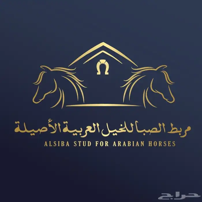 مربط الصبا ايواء خدمات العناية بالخيل الغولاء 11