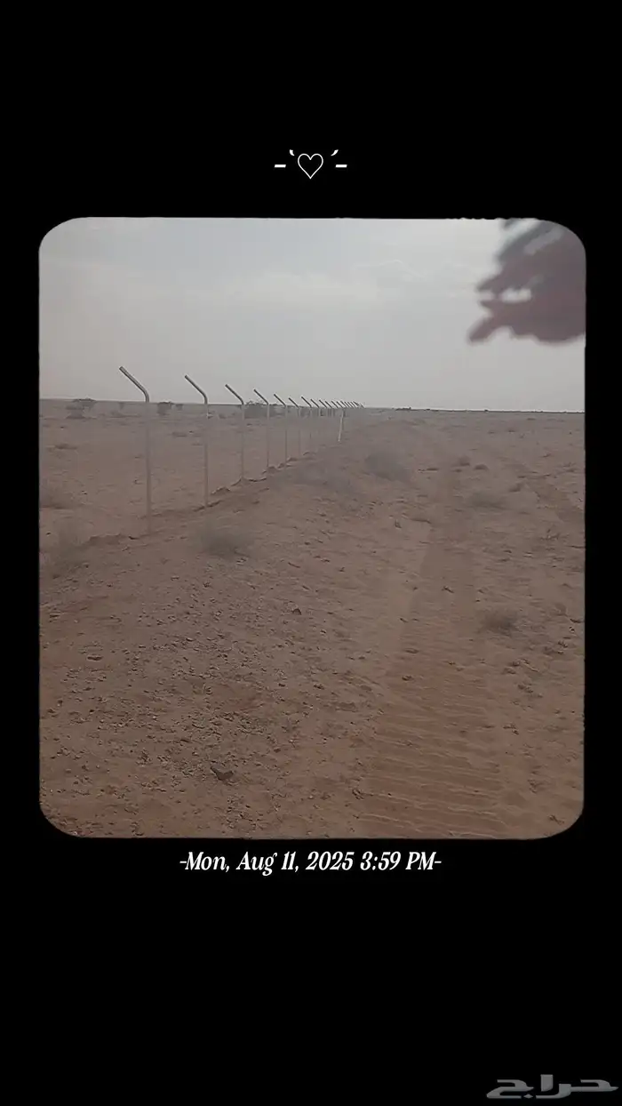 توريد تركيب شبوك مزارع 5