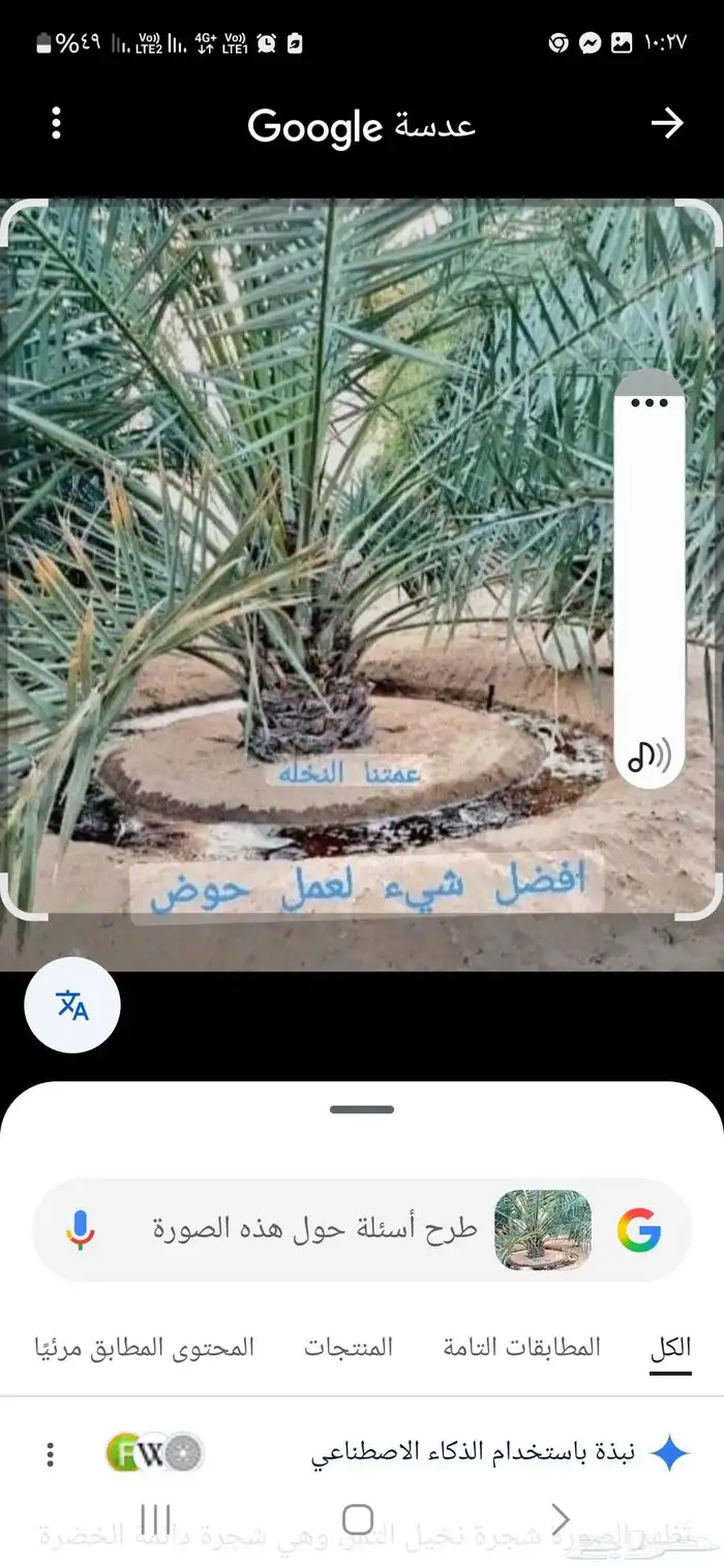 تنسيق حدائق ثيل و نخيل وأشجار بأنواعها 6