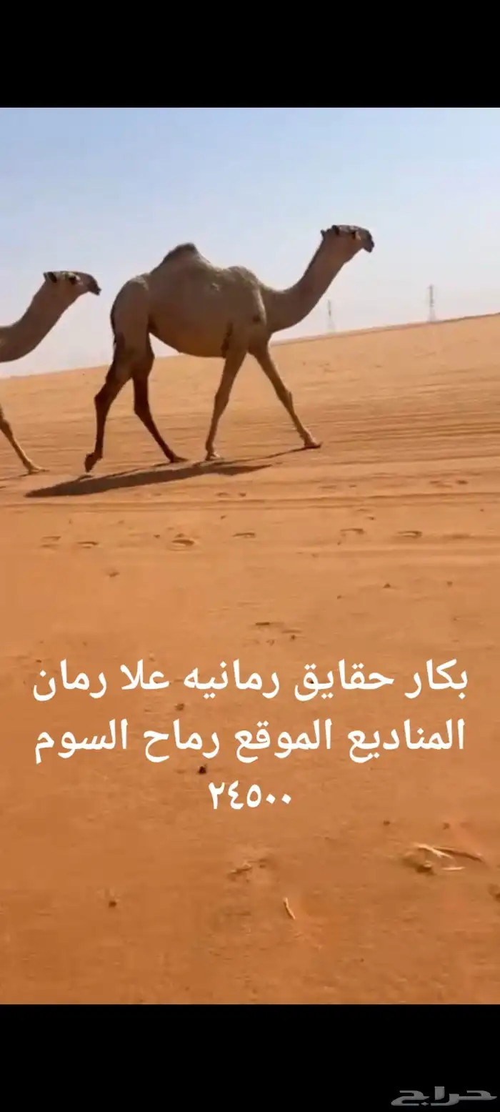 التواصل واتس 2