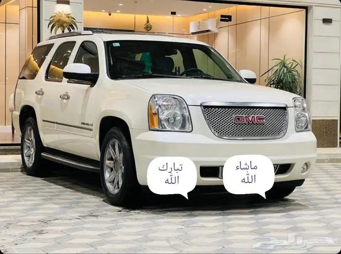 دينالي لؤلؤي 2009 فل كامل دبل وكالة ((لوحة شبه مميزة)) 3
