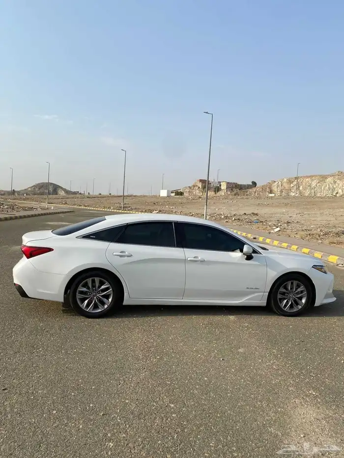 افالون 2019 13