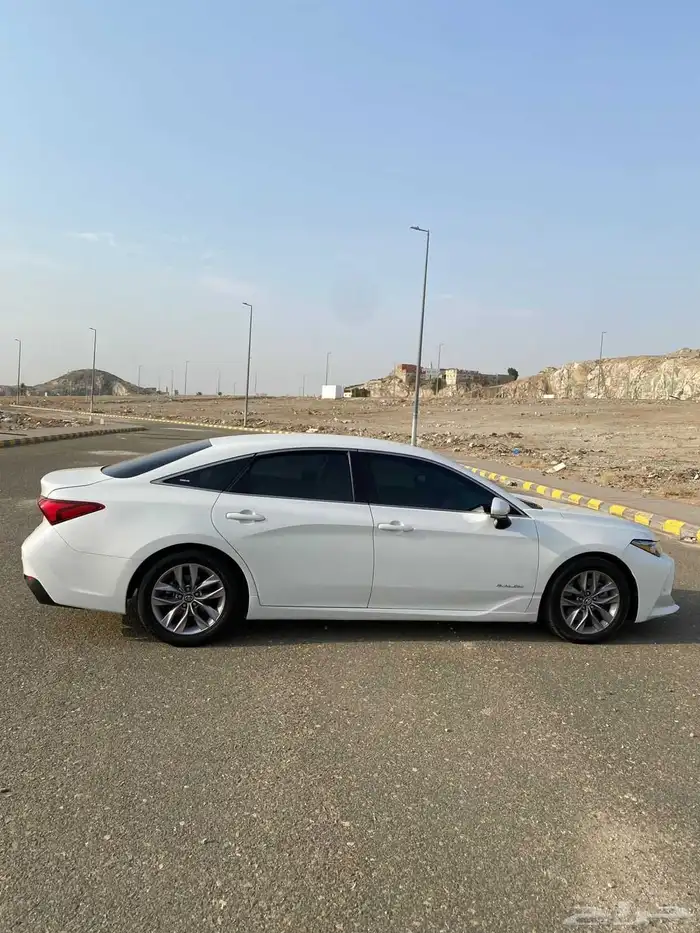 افالون 2019 11