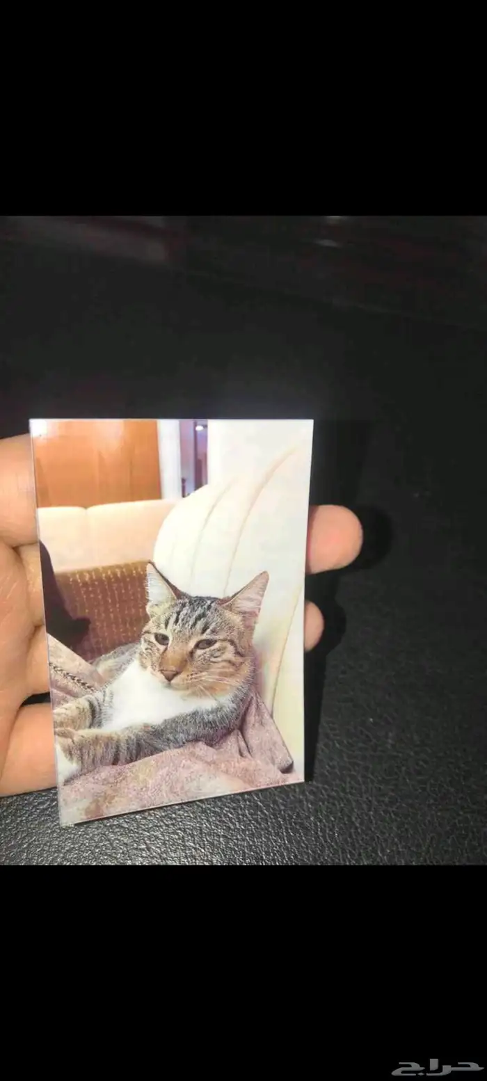 اطبع ذكرياتك فور ا مع الطابعة ملونه الذكية 2