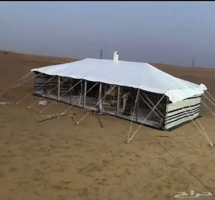 بيوت شعر جميع الماسات 2