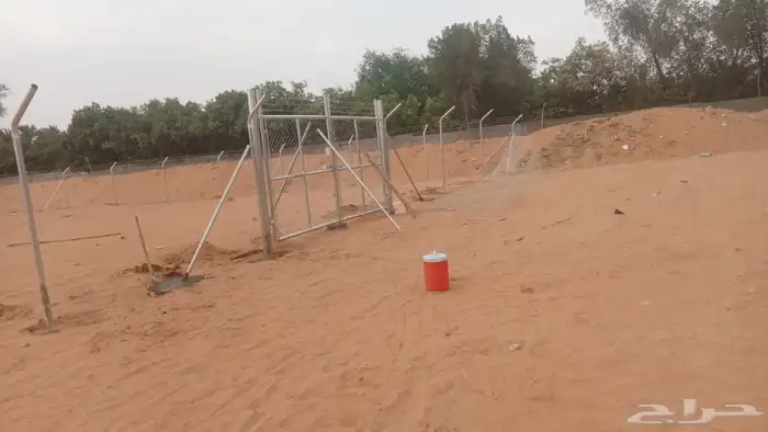 إسلام عليكم أبوعلي لاتواريدالشبواك والنخيل 7