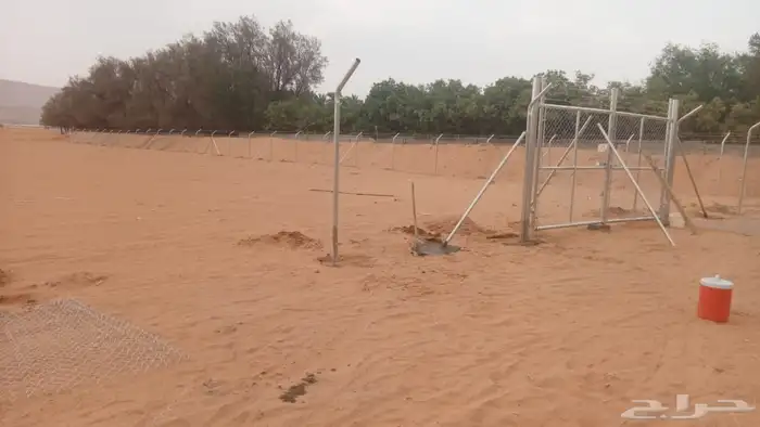 إسلام عليكم أبوعلي لاتواريدالشبواك والنخيل 0