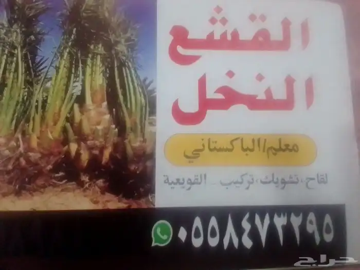 معلم نخل قشع ر ز 0