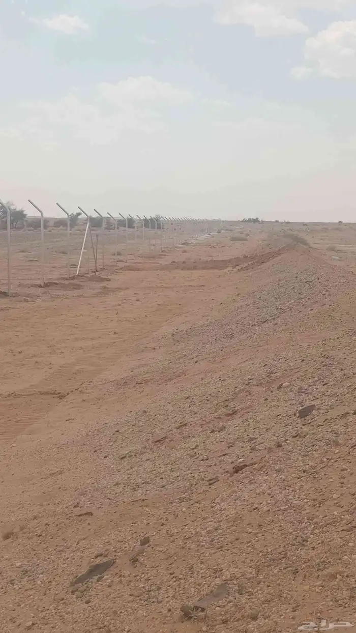 توريد تركيب شبوك مزارع 3