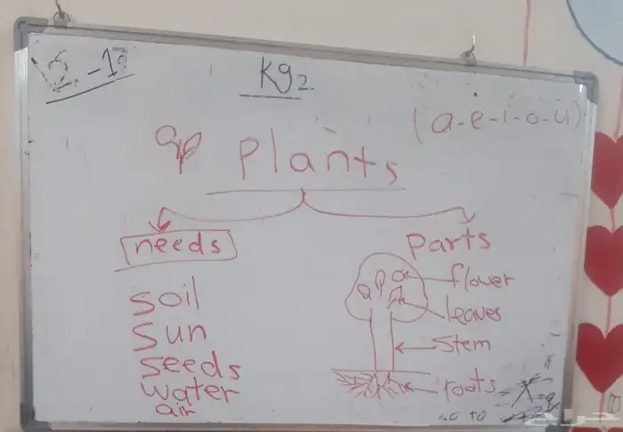 معلمه مصريه لغه انجليزيه دروس خصوصيه و تأسيس طفال 10