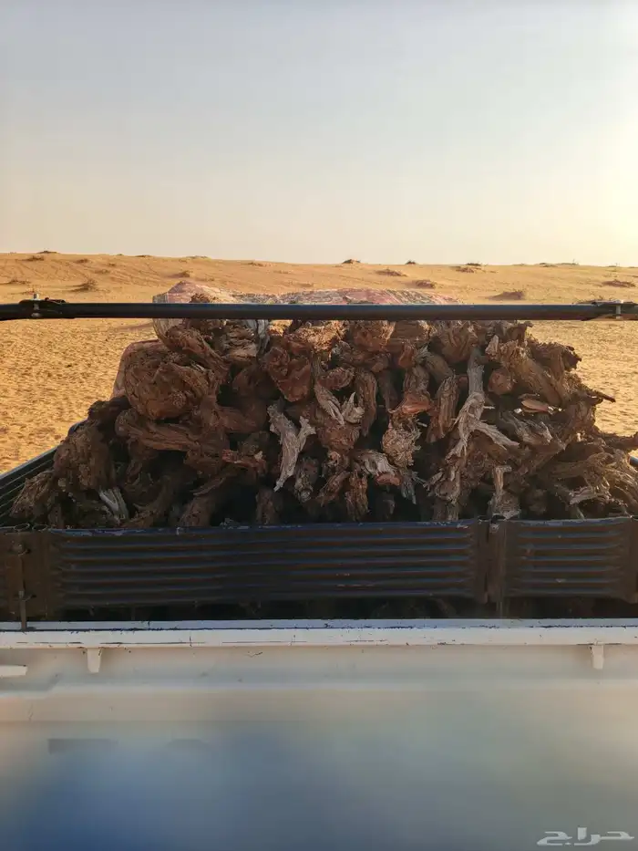 صندوق غمارتين للبيع 2