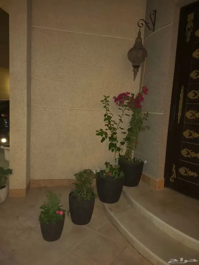 تنسيق حدائق زراعيه ابومحمد   الرياض 7