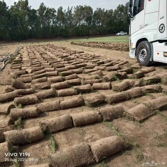 نجيل طبيعي 1