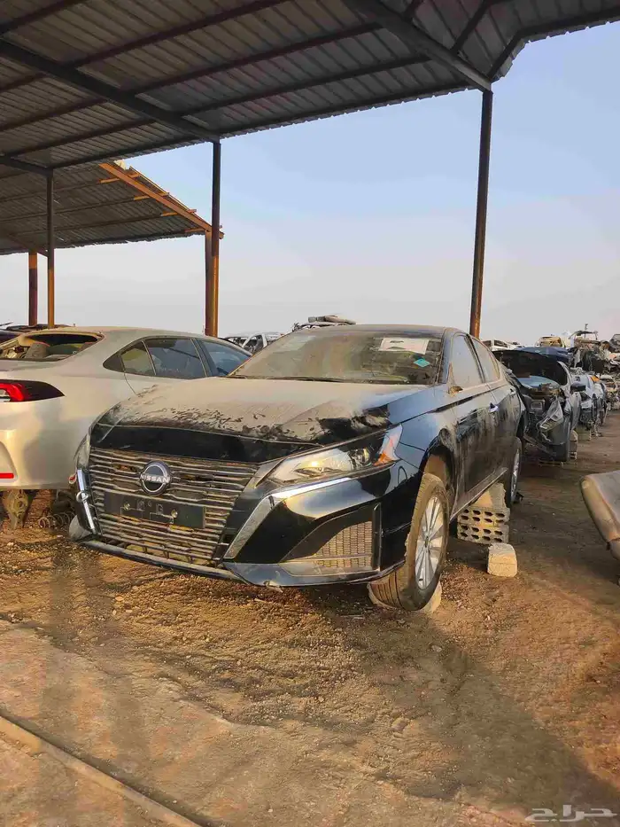 نيسان التيما موديل جديد 2025 5