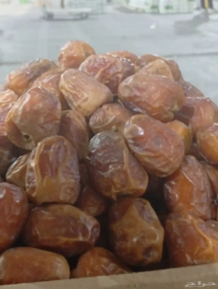 لبيع صقعي جلكسي اخلاص خضري 2