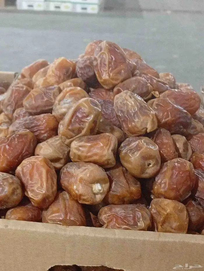 لبيع صقعي جلكسي اخلاص خضري 1