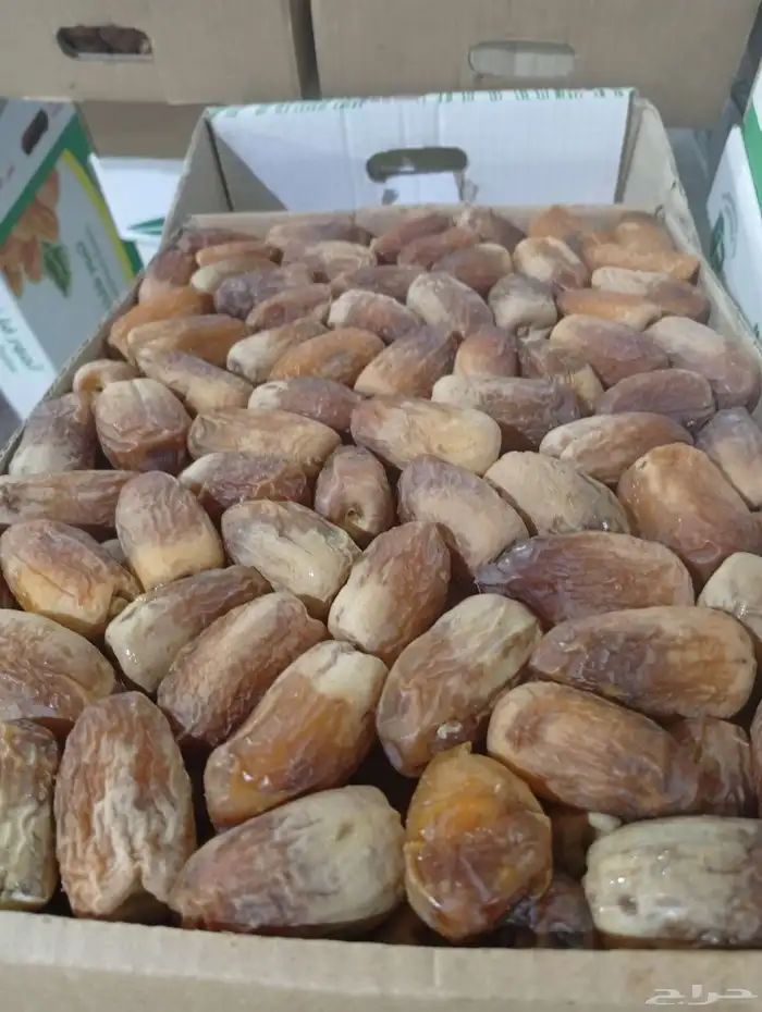 لبيع صقعي جلكسي اخلاص خضري 0