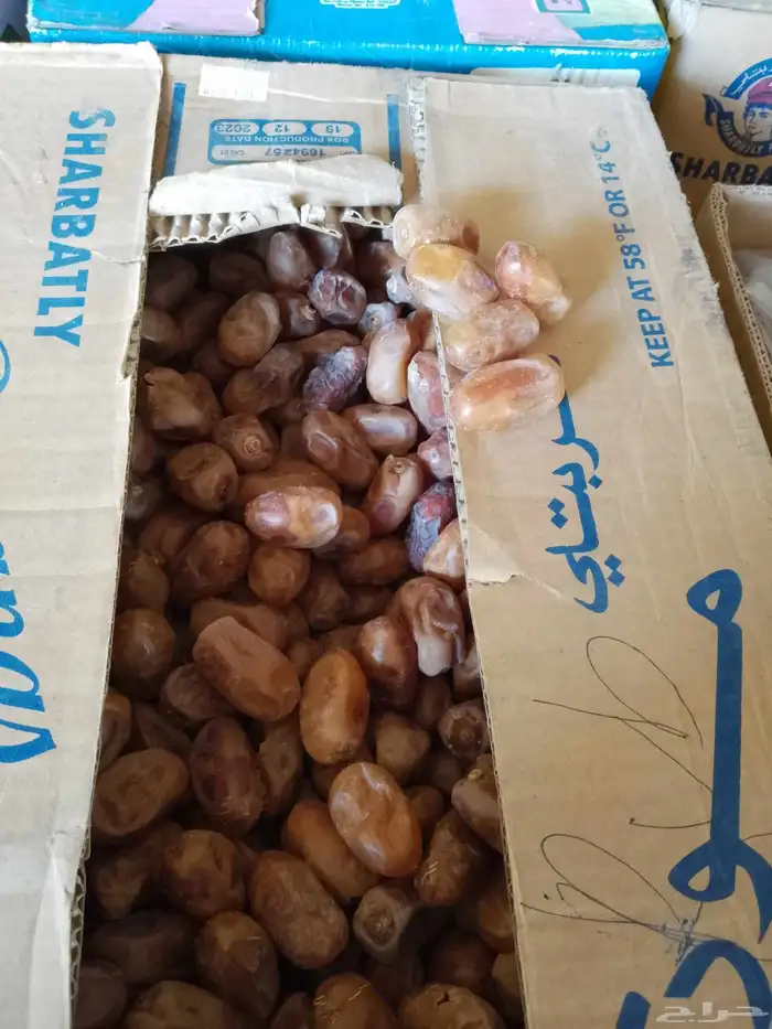 عندنا تمر خلاص كمية مزرعه الخرج 2