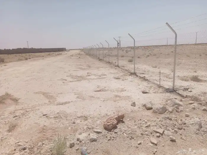 إسلام عليكم أبوعلي لاتواريدالشبواك والنخيل 2