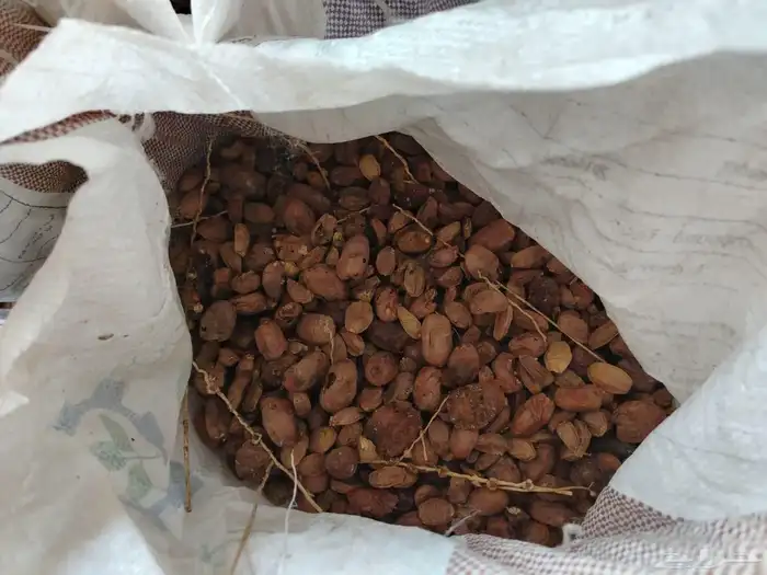 زبيناالكرام يوجدلديناتمرحشف من له رغبه يتوصل 1
