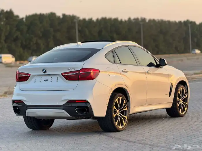 BMW X6 Xdrive35 2019 بي ام دبليو 3