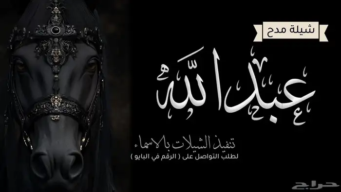 تنفيذ شيلات_ زفات  مواليد _تخرجات_ قصائد شعريه  سحب موسيقى 0