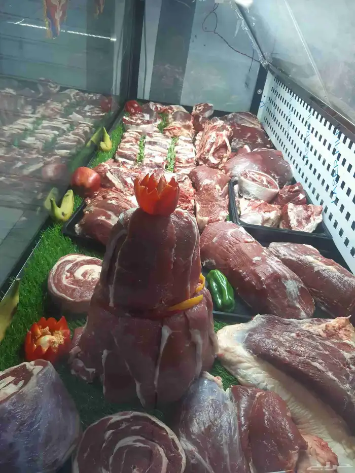 معلم جزار تشفيه مصنعات عرض تلاجات 4