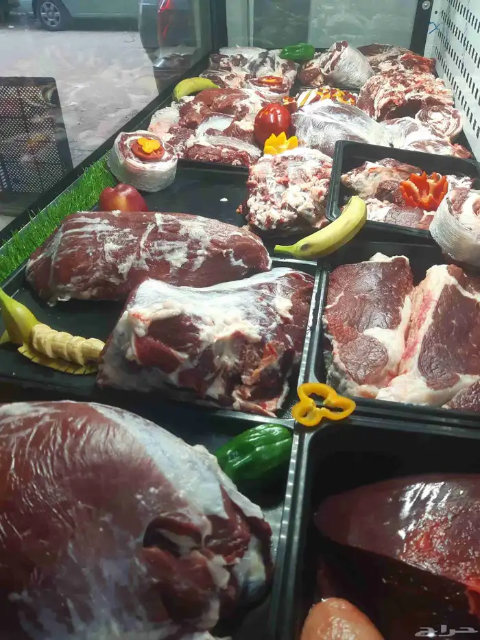 معلم جزار تشفيه مصنعات عرض تلاجات 3