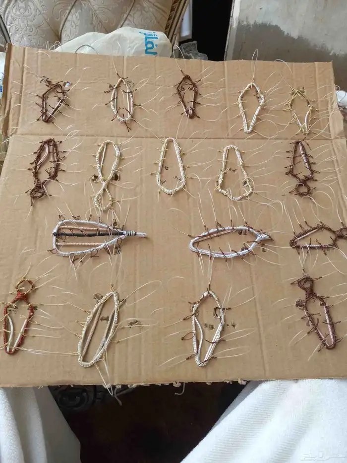 شبك لصيد الصقور 3