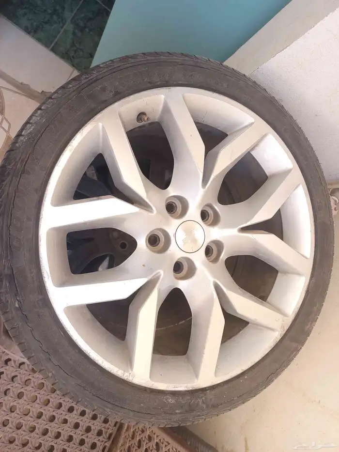 جنوط امبالا 0