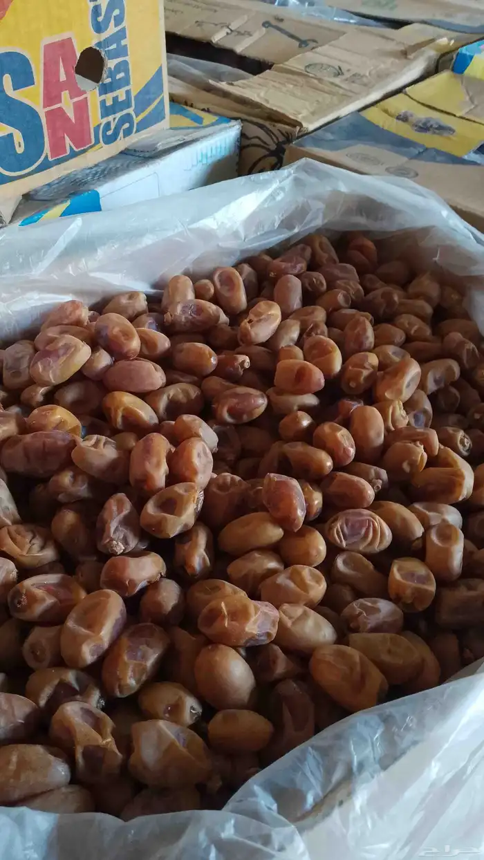 عندنا تمر خلاص كمية مزرعه الخرج 4