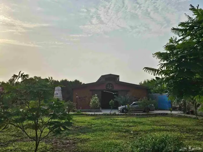 مربط الصبا ايواء خدمات العناية بالخيل الغولاء 3