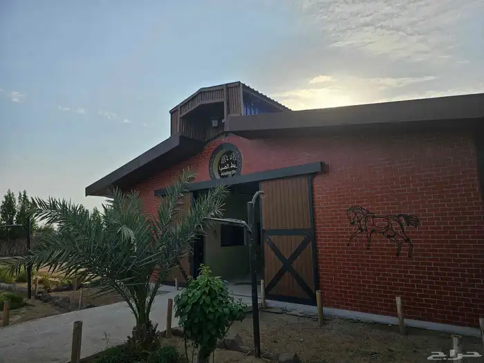 مربط الصبا ايواء خدمات العناية بالخيل الغولاء 9