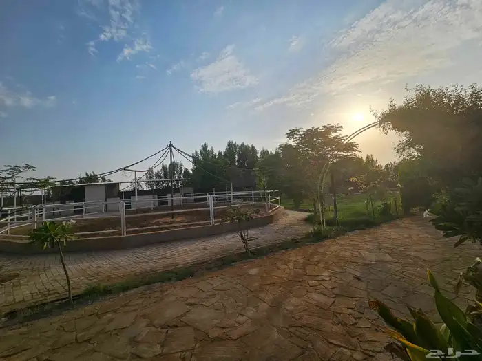 مربط الصبا ايواء خدمات العناية بالخيل الغولاء 5