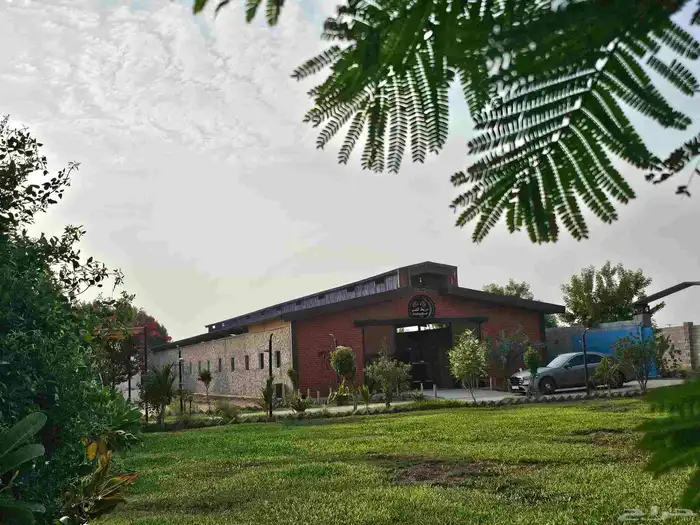 مربط الصبا ايواء خدمات العناية بالخيل الغولاء 4