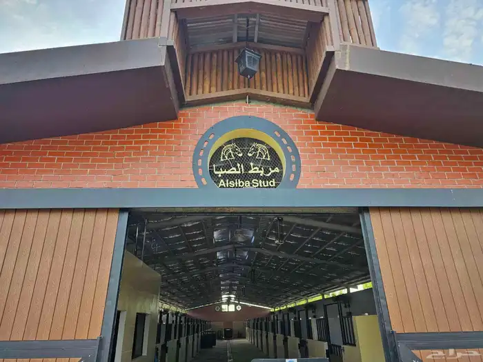 مربط الصبا ايواء خدمات العناية بالخيل الغولاء 0