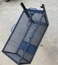 مصيده قطط كلاب 6