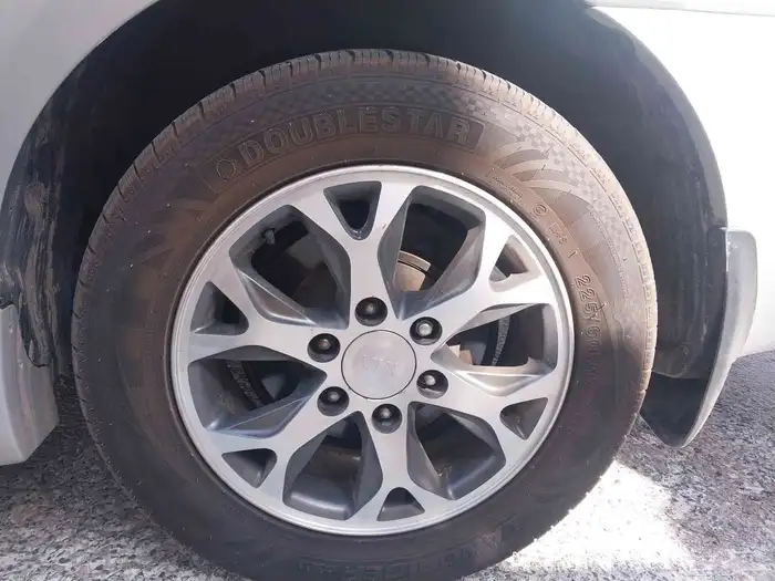 للبيع كرنيفال 15 ممشى قليل جدا 9