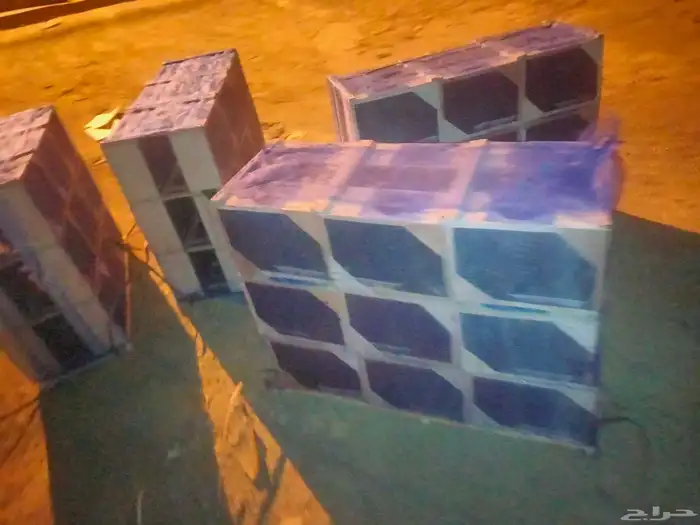 نحل مصري خالي من الامراض 2