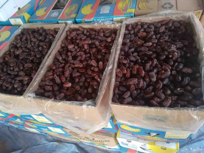 يوجد تمور خظري ومشكلات لبيع 0