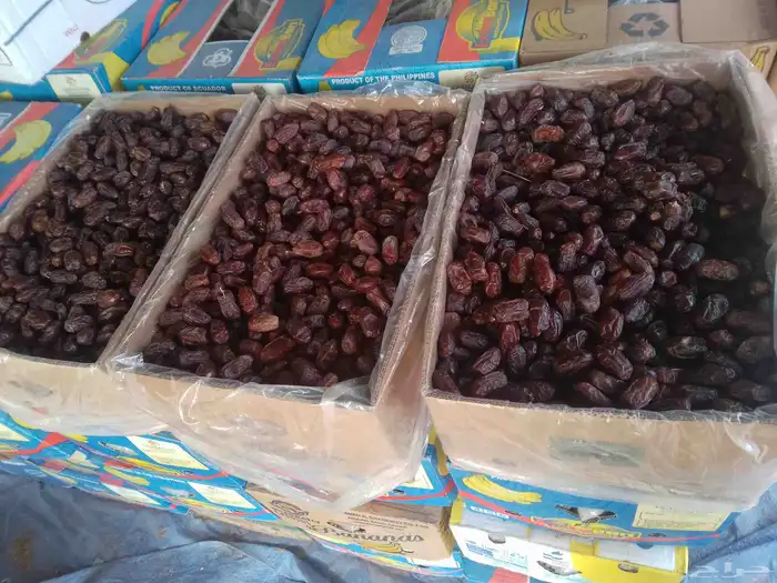 يوجد تمور خظري ومشكلات لبيع 1